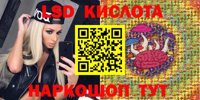 а пвп мука Кингисепп
