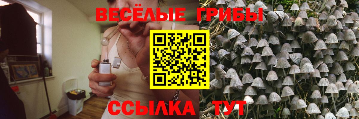 Псилоцибиновые грибы Psilocybine cubensis  Галлюциногенные грибы Psilocybe  Бутурлиновка  Вход с VPN 